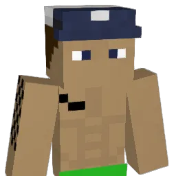 placekniewacek's Minecraft skin