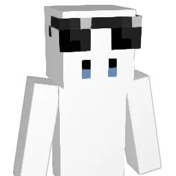 plaer_1
