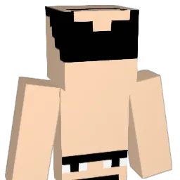 plarrrr Minecraft avatar bust