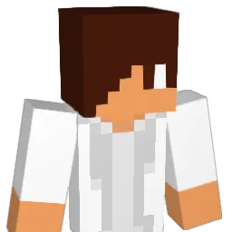 playerboy107 Minecraft avatar bust