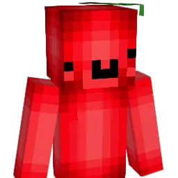 playspoi Minecraft avatar bust