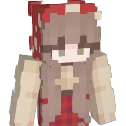 please_no00's Minecraft skin