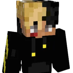 plebHM's Minecraft skin