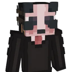plopers1235 Minecraft avatar bust