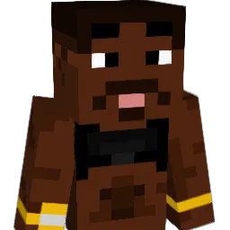 plopinhisprime Minecraft avatar bust