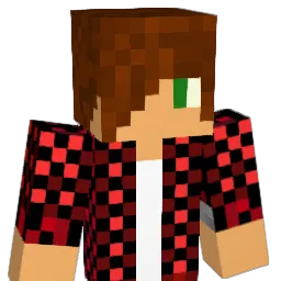 plspls25 Minecraft avatar bust