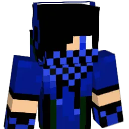 pmholer Minecraft avatar bust