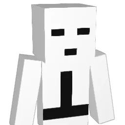 pminjun1 Minecraft avatar bust