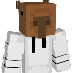 pmnoahm's Minecraft skin