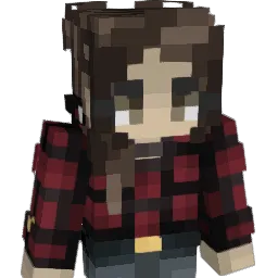 pnpa Minecraft avatar bust