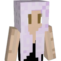 pnr8555 Minecraft avatar bust