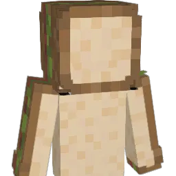poarnZX Minecraft avatar bust