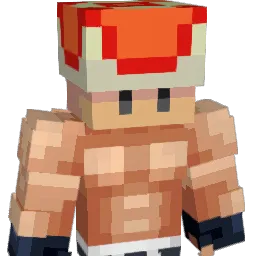 poc2 Minecraft avatar bust