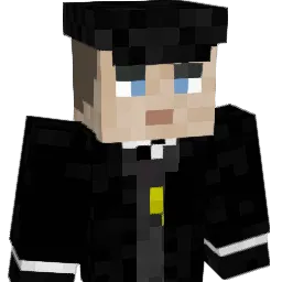 pocosho Minecraft avatar bust