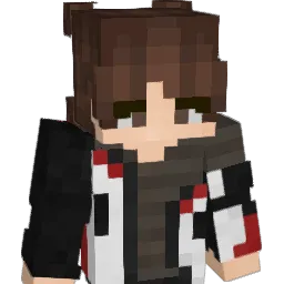 pohuizm