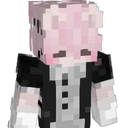 poiyok's Minecraft skin