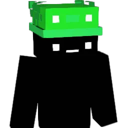 poiz's Minecraft skin