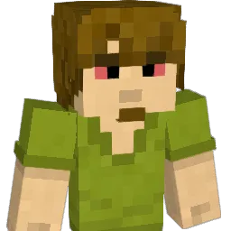 pokaznybigos22 Minecraft avatar bust