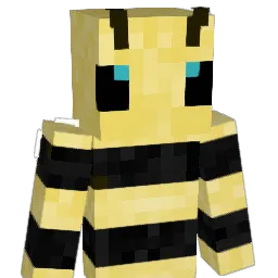 pokeety11 Minecraft avatar bust