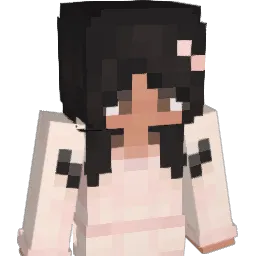 pokkitto Minecraft avatar bust