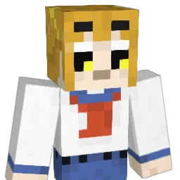 pokoo25 Minecraft avatar bust