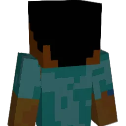 pokwi7269 Minecraft avatar bust