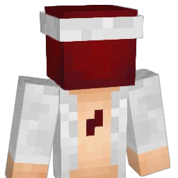 pol4nek Minecraft avatar bust