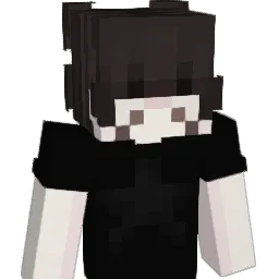 polandspring69 Minecraft avatar bust