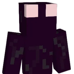 polcodot Minecraft avatar bust