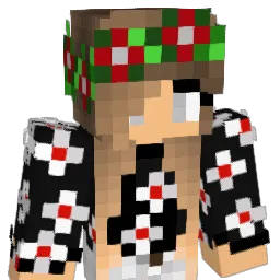 polly24 Minecraft avatar bust