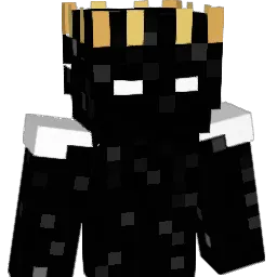 polmc's Minecraft skin