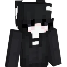 poltice Minecraft avatar bust