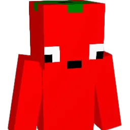pomidorek123 Minecraft avatar bust