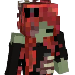 ponkaas's Minecraft skin
