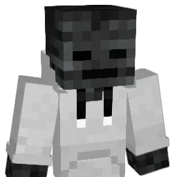 ponta2015 Minecraft avatar bust