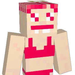 pontaaaaaa Minecraft avatar bust