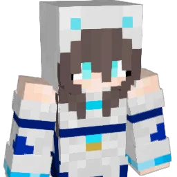 poo8245 Minecraft avatar bust