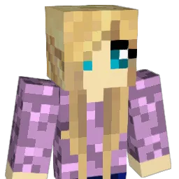 pooface2287 Minecraft avatar bust
