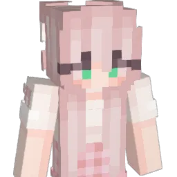 pooko1611 Minecraft avatar bust