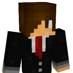 pooop11pooop Minecraft avatar bust