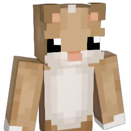 poopoo05 Minecraft avatar bust