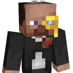 poopsock34