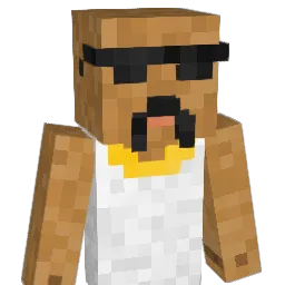 poopvacuum Minecraft avatar bust
