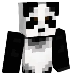 popadom20 Minecraft avatar bust