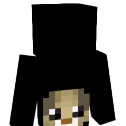 popbail Minecraft avatar bust