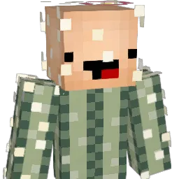 popik704
