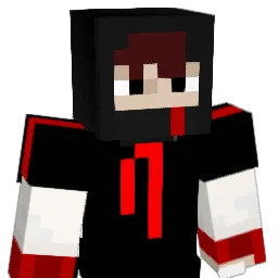 popolipata Minecraft avatar bust