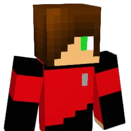 porara8 Minecraft avatar bust