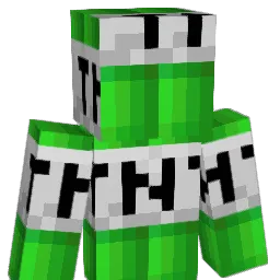 porcelet51 Minecraft avatar bust