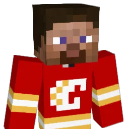 porkenjoyer Minecraft avatar bust